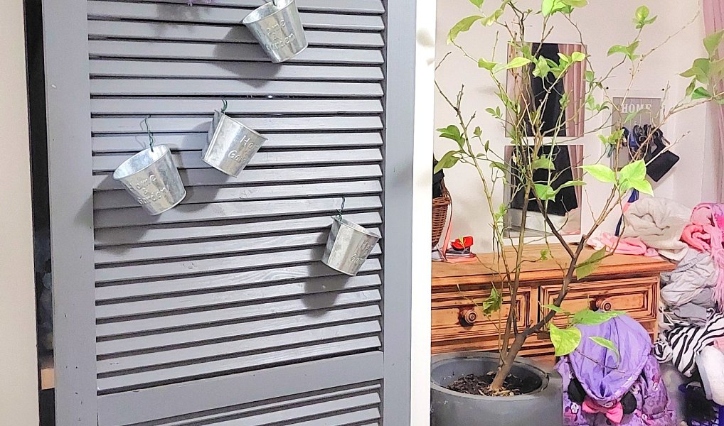 Prodej domu 119 m² s pozemkem 1 245 m², Horní Jelení – náhled fotky 19