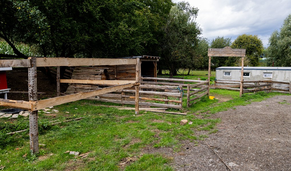 Prodej domu 60 m² s pozemkem 13 269 m², Litíč – náhled fotky 11