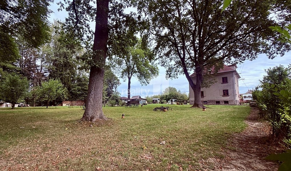 Prodej domu 240 m² s pozemkem 3 645 m², Aš – náhled fotky 11