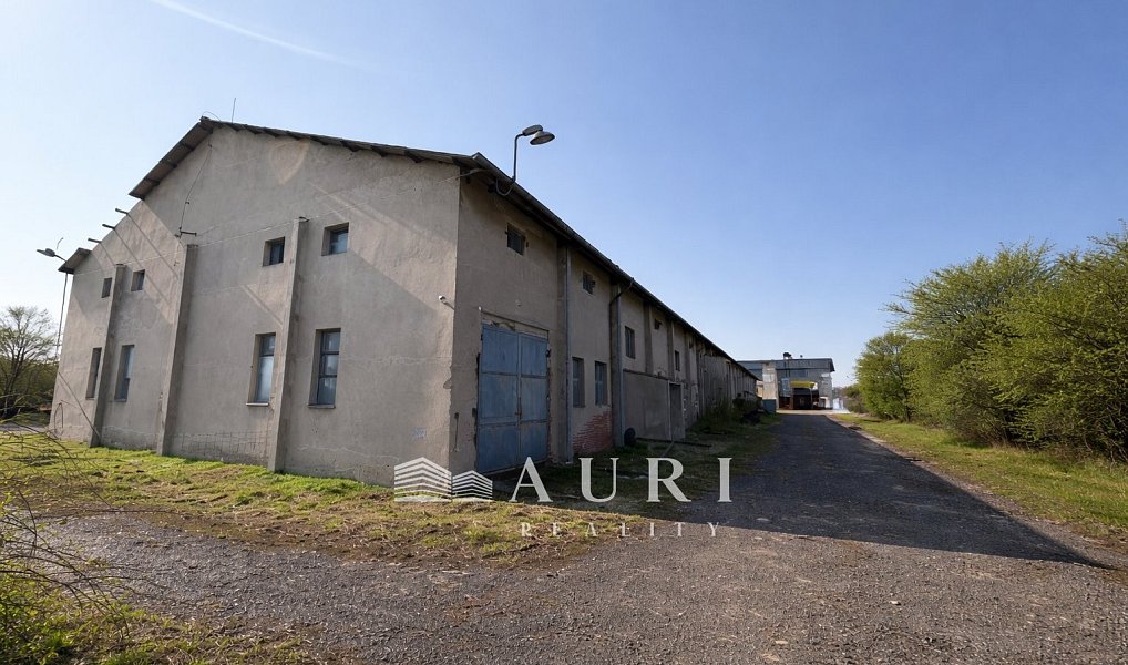 Prodej skladovacích prostor 29 845 m², Žižice – náhled fotky 4