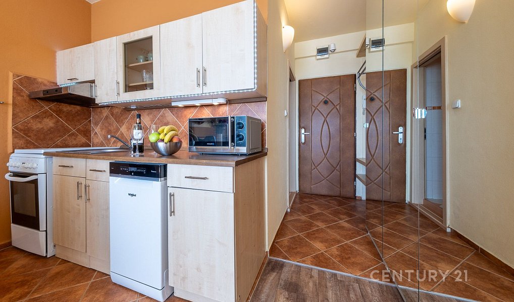 Prodej bytu 1+1 36 m², České Budějovice – náhled fotky 3