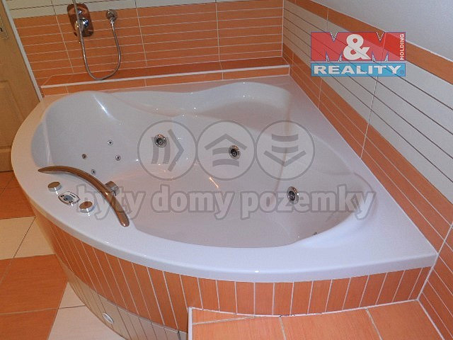 Pronájem domu 220 m² s pozemkem 220 m² – fotografie 4