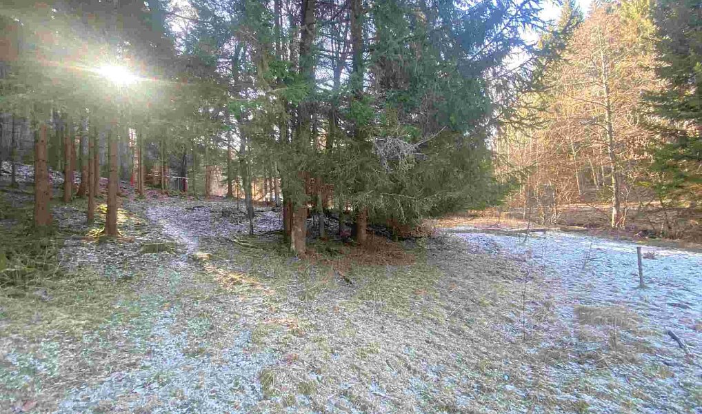 Prodej pozemku 2 391 m², Čachrov – náhled fotky 6