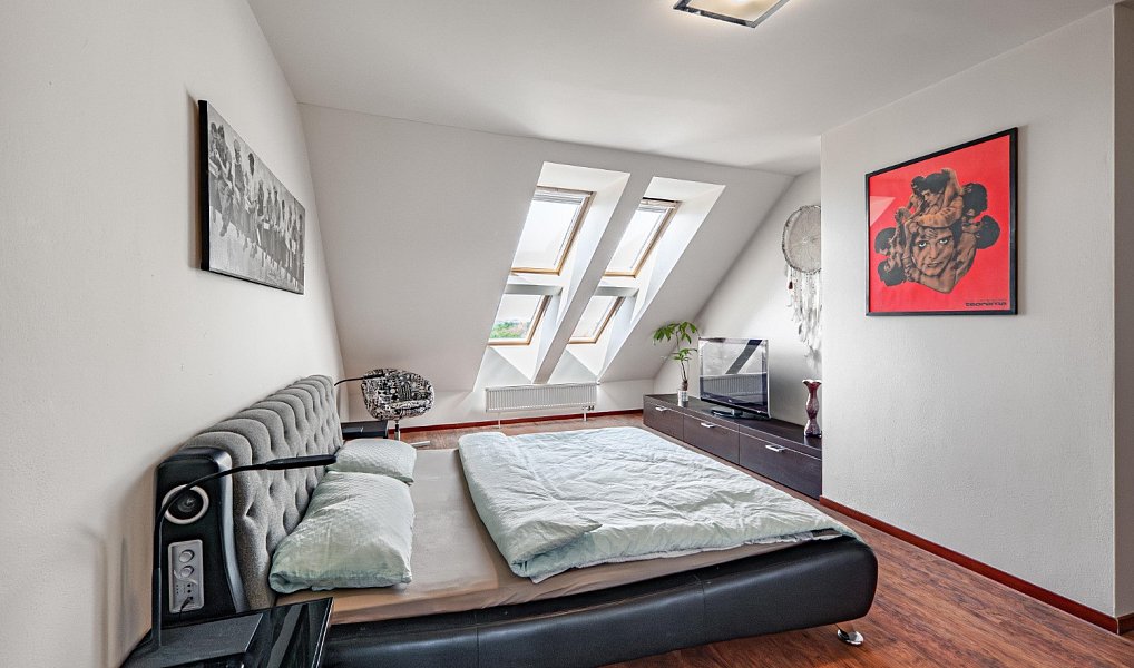Prodej bytu 5+kk 199 m², Plzeň – náhled fotky 17