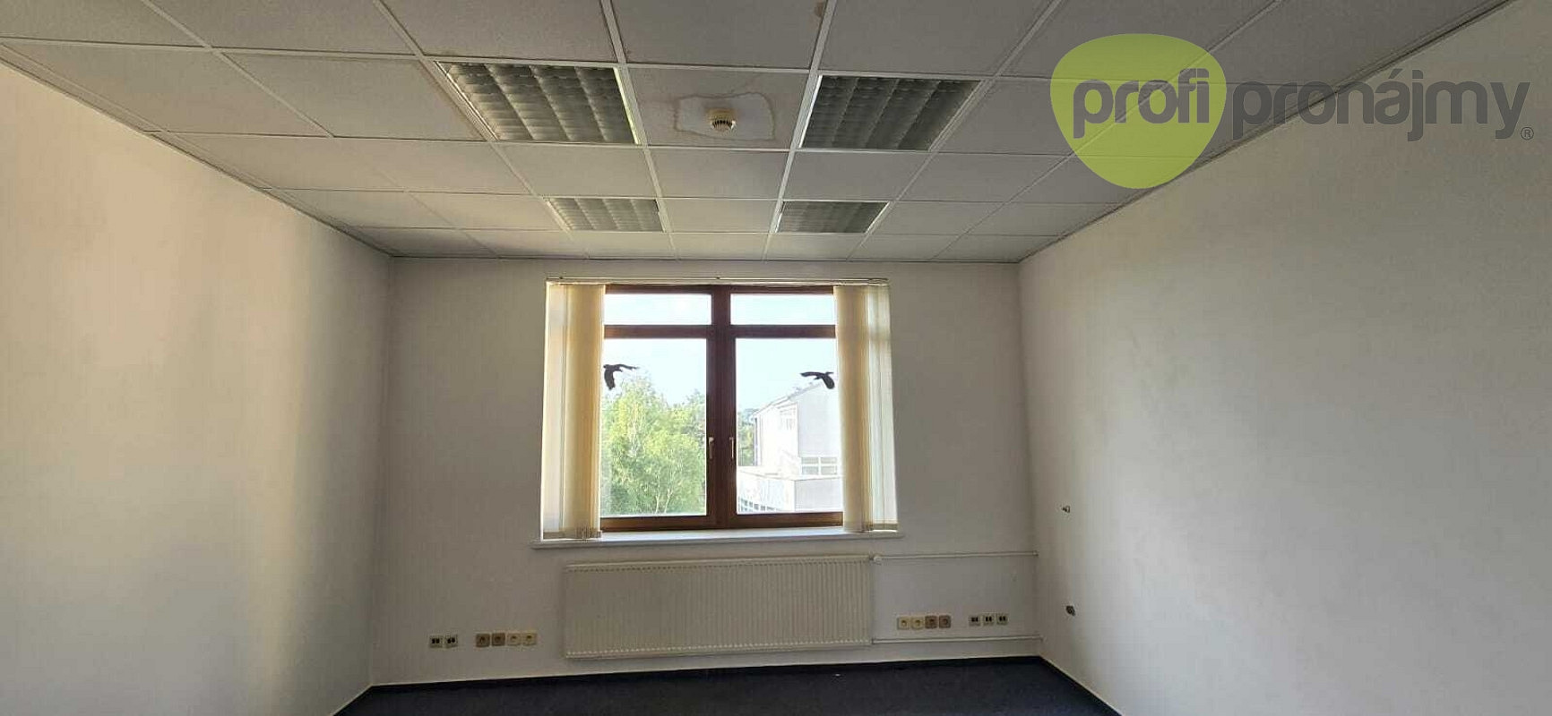 Pronájem kanceláře 58 m² – fotografie 4