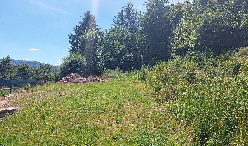 Prodej stavebního pozemku 2 760 m², Loukov – náhled fotky 4