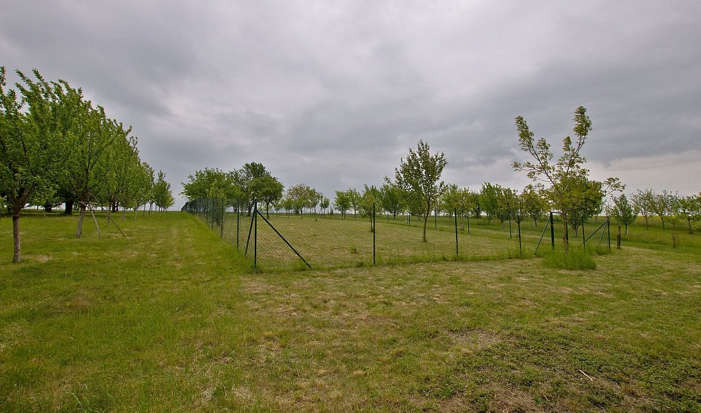 Prodej zahrady 1 280 m², Kunovice – náhled fotky 2