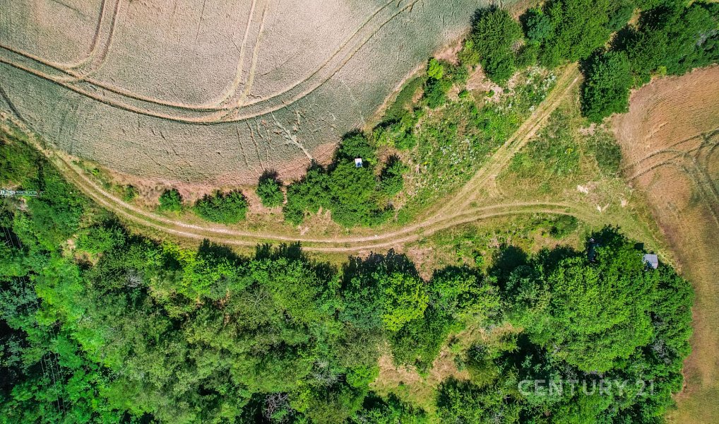 Prodej pole 1 495 m², Statenice – náhled fotky 11