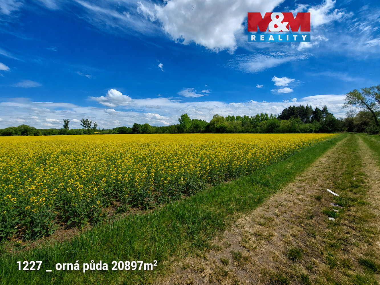 Prodej pozemku 151 762 m², Pňov-Předhradí