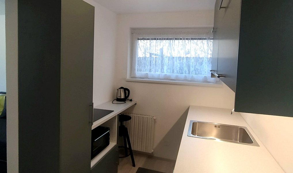 Pronájem bytu 1+kk 20 m², Brno – náhled fotky 3