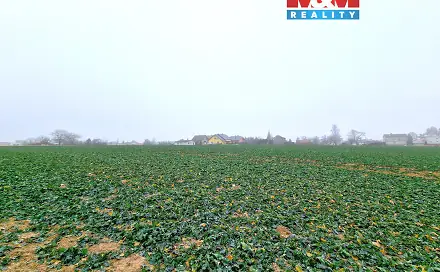 Prodej stavebního pozemku 5 343 m², Štěpánkovice, okres Opava
