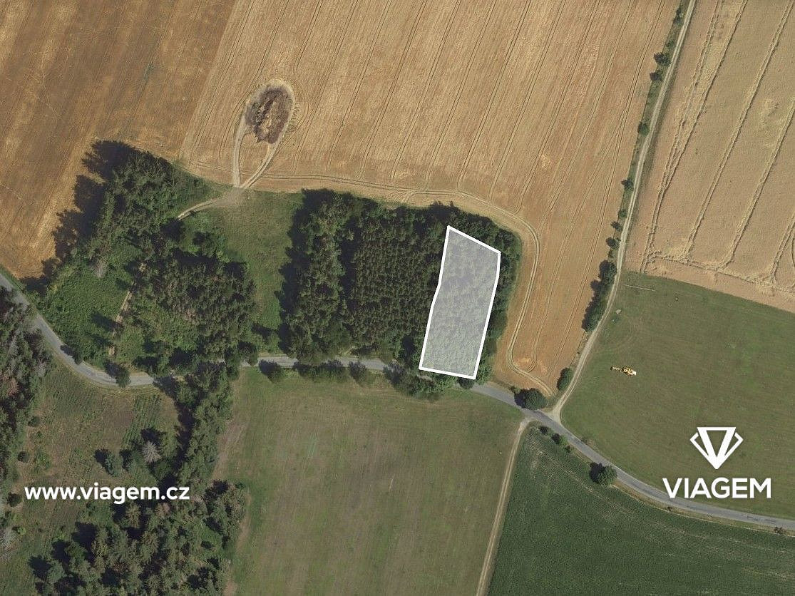 Prodej lesa 1 144 m² – fotografie 2