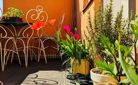 Pronájem bytu 1+kk 24 m²