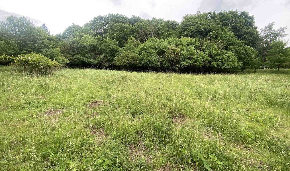 Prodej pole 12 772 m², Třebívlice – náhled fotky 8