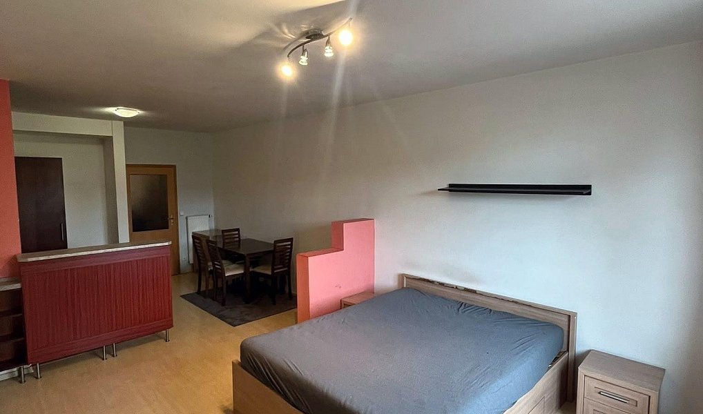 Pronájem bytu 1+kk 40 m², České Budějovice – náhled fotky 5