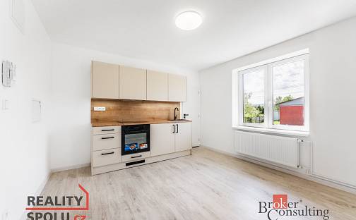 Prodej bytu 1+1 45 m², Křižíkova, Frýdek-Místek - Frýdek