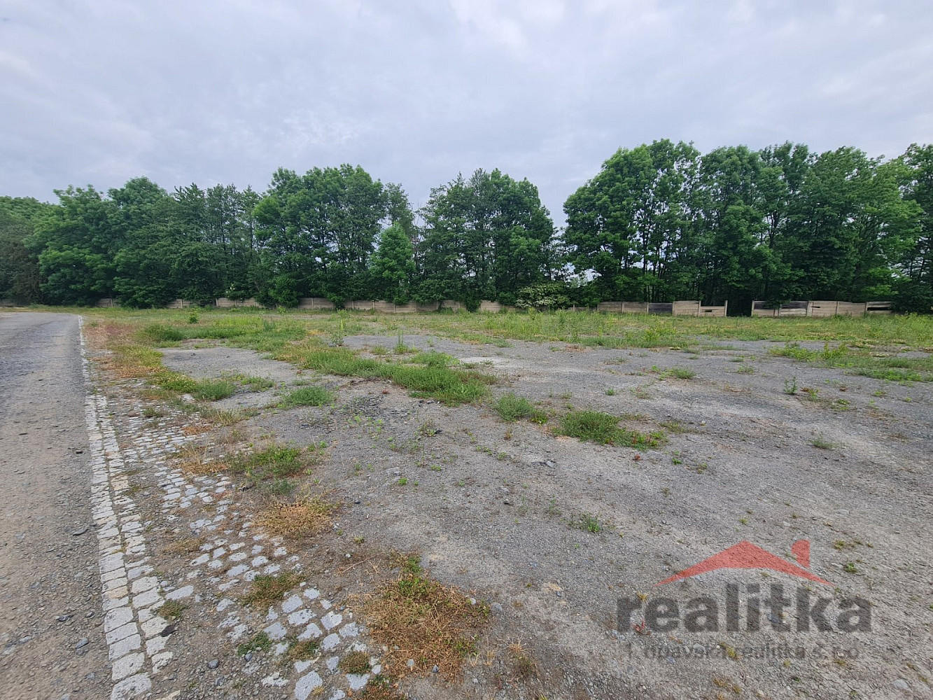 Prodej komerčního pozemku 6 000 m² – fotografie 3