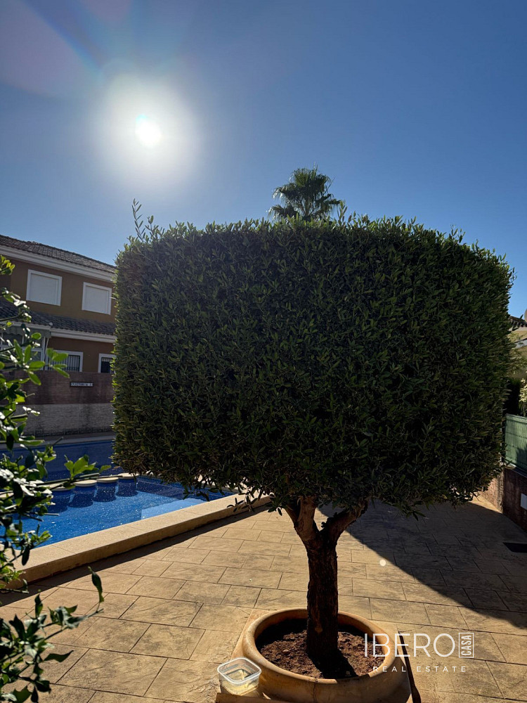 Prodej domu 100 m² s pozemkem 100 m² - Vista 3