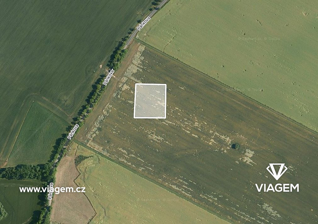 Prodej pole 1 990 m²