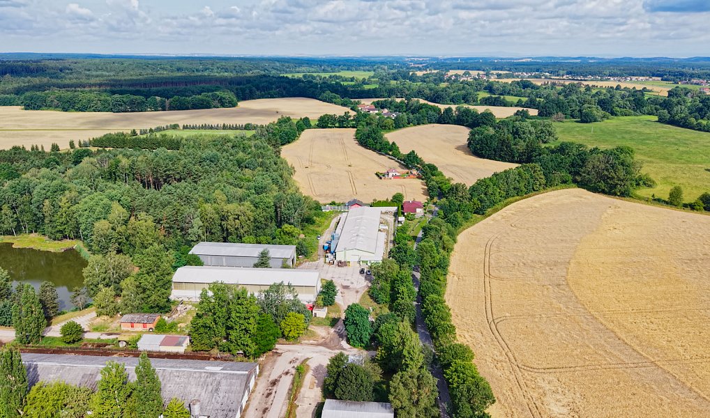 Prodej výrobních prostor 1 650 m², Týniště nad Orlicí – náhled fotky 18
