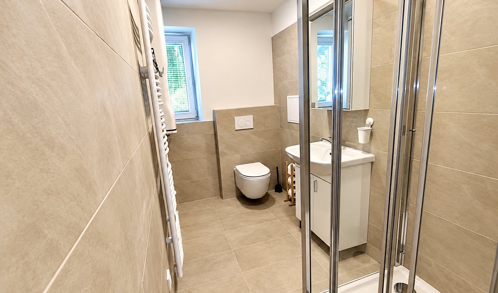 Pronájem bytu 2+1 40 m², Ostrava – náhled fotky 8