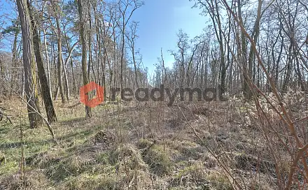 Prodej lesa 5 323 m², Dubňany, okres Hodonín