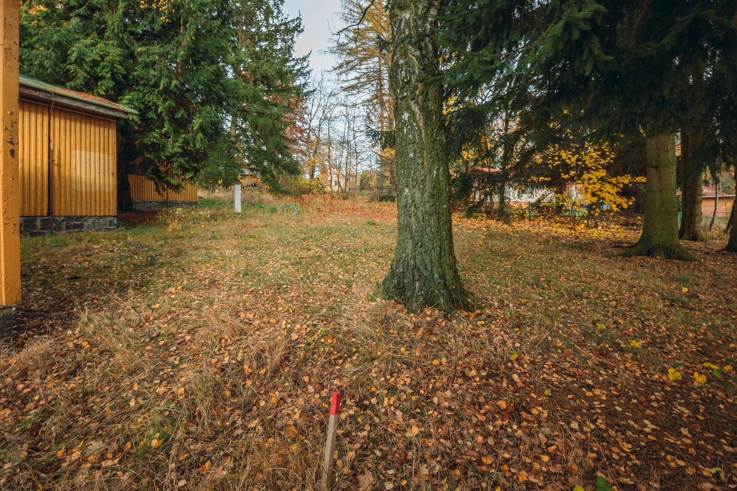 Fotka 16 z 22