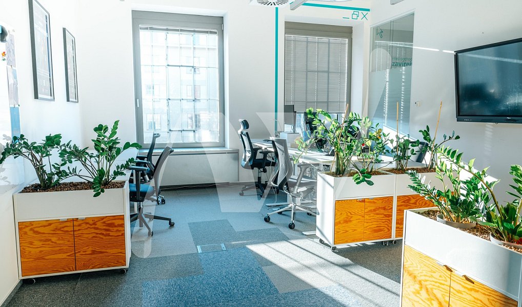 Pronájem kanceláře 337 m², Praha – náhled fotky 5