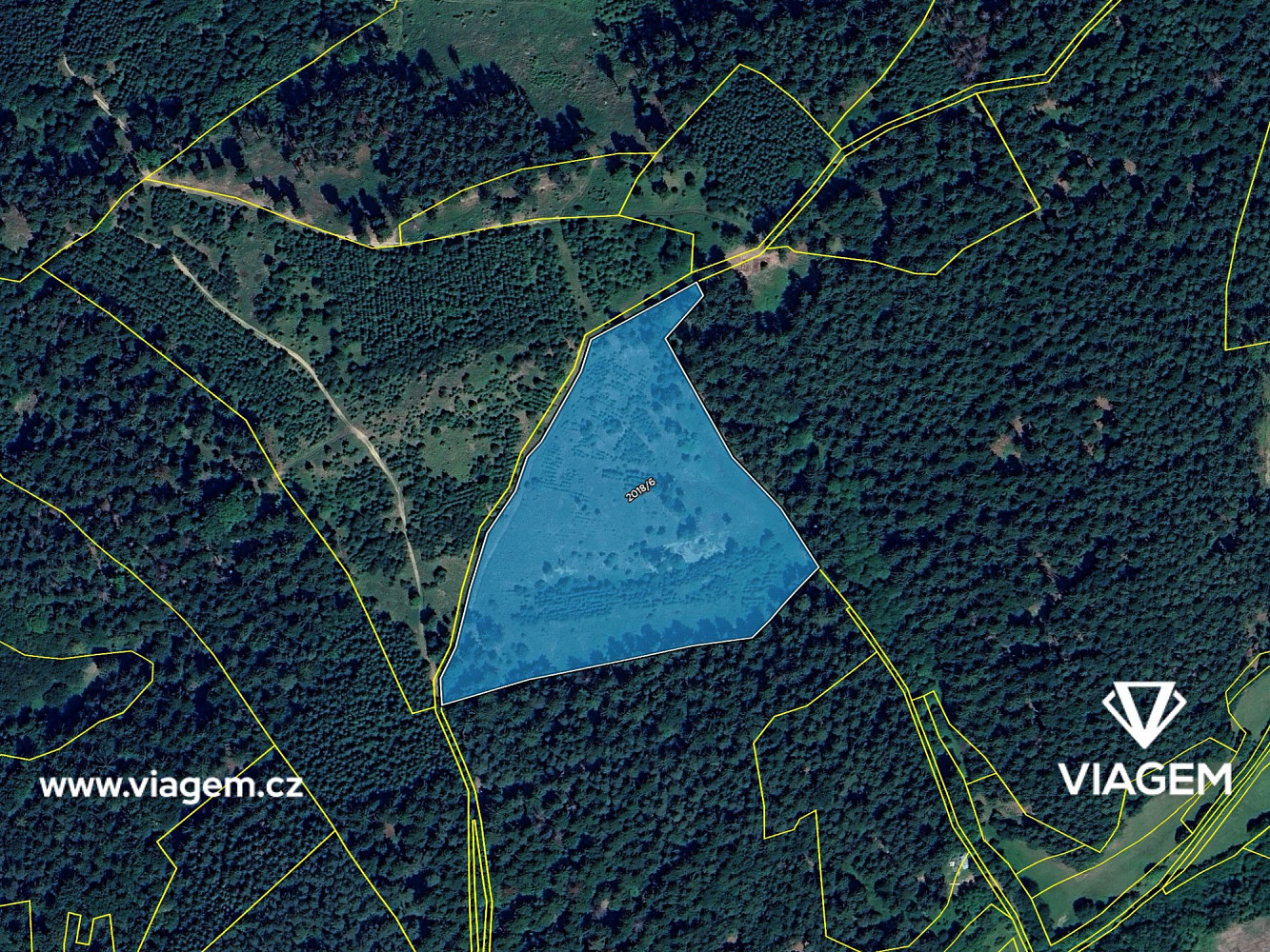 Prodej lesa 21 200 m² – fotografie 4