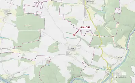 Dražba lesa 19 m², Hosty