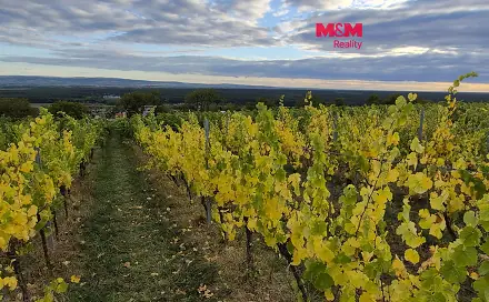 Prodej pole 2 653 m², Bzenec, okres Hodonín