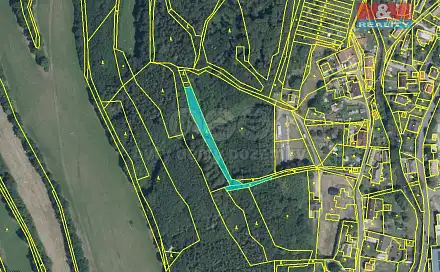 Prodej lesa 1 600 m², Oskava, okres Šumperk