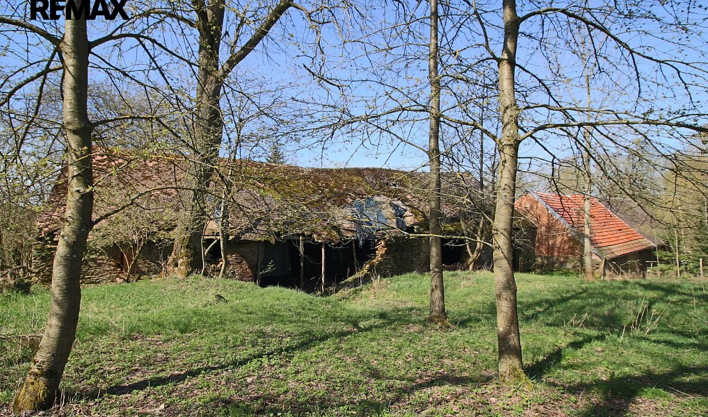 Prodej zemědělského objektu 247 m², Chodová Planá – náhled fotky 29