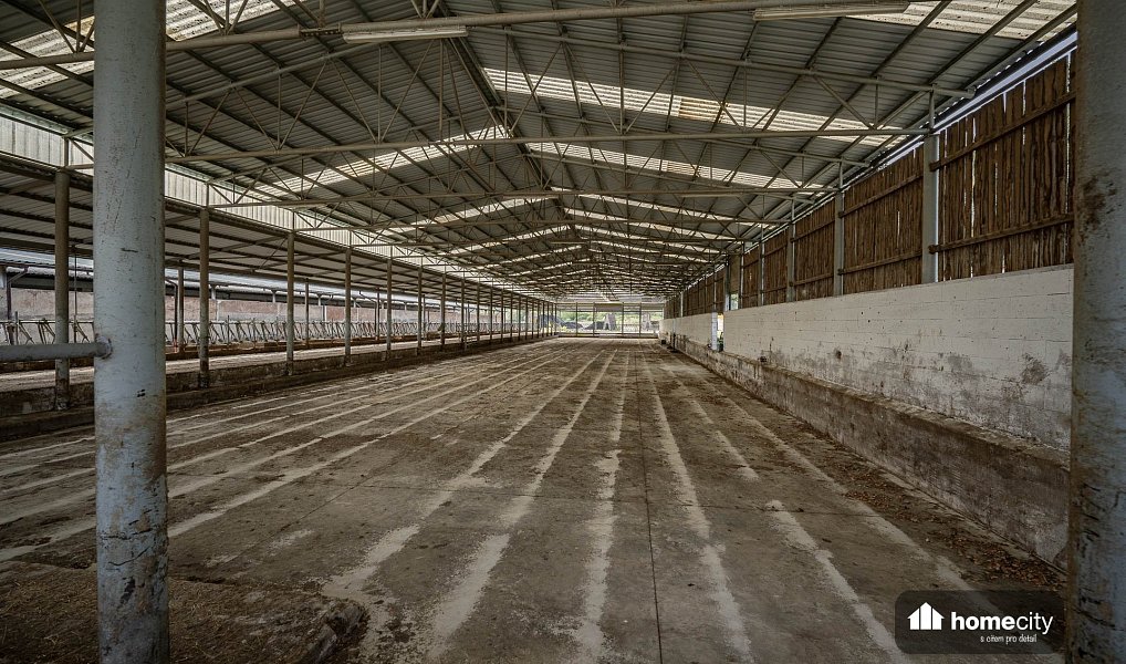 Prodej zemědělského objektu 38 087 m², Sovolusky – náhled fotky 6