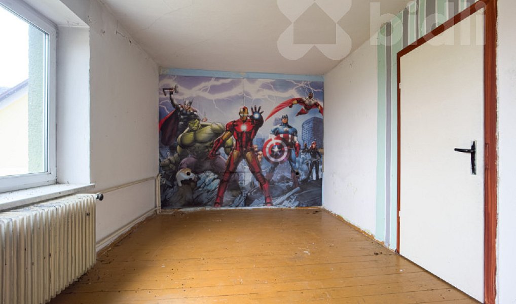 Prodej domu 160 m² s pozemkem 6 797 m², Javorník – náhled fotky 12
