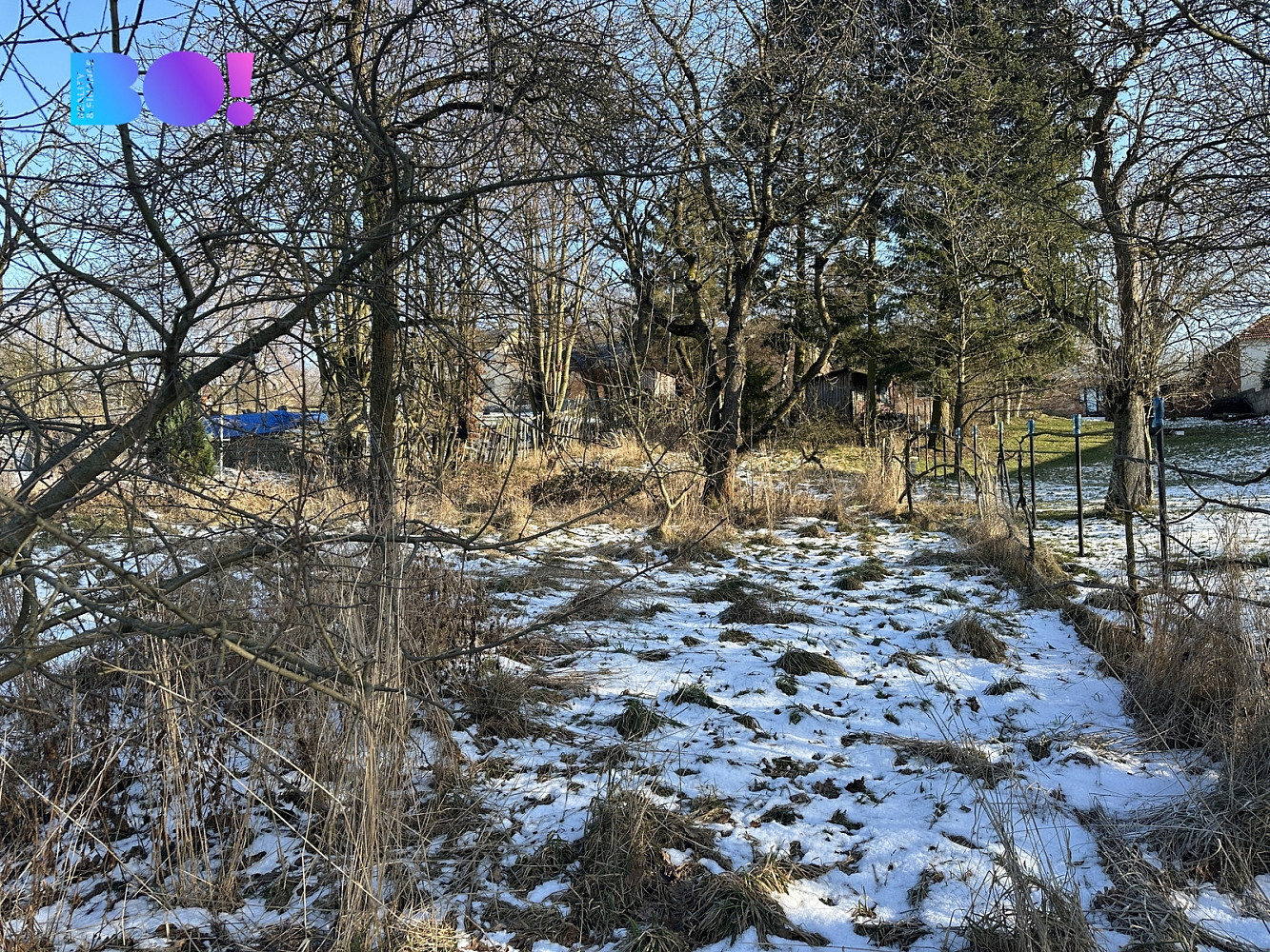 Fotka 7 z 18