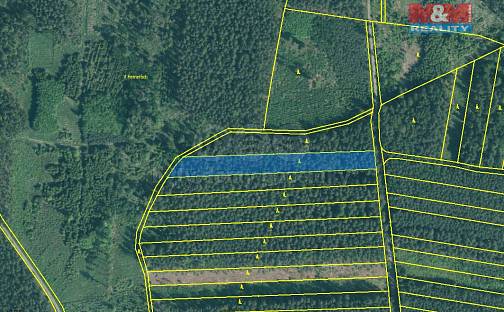 Prodej lesa 4 751 m², Bechyně - Hvožďany, okres Tábor