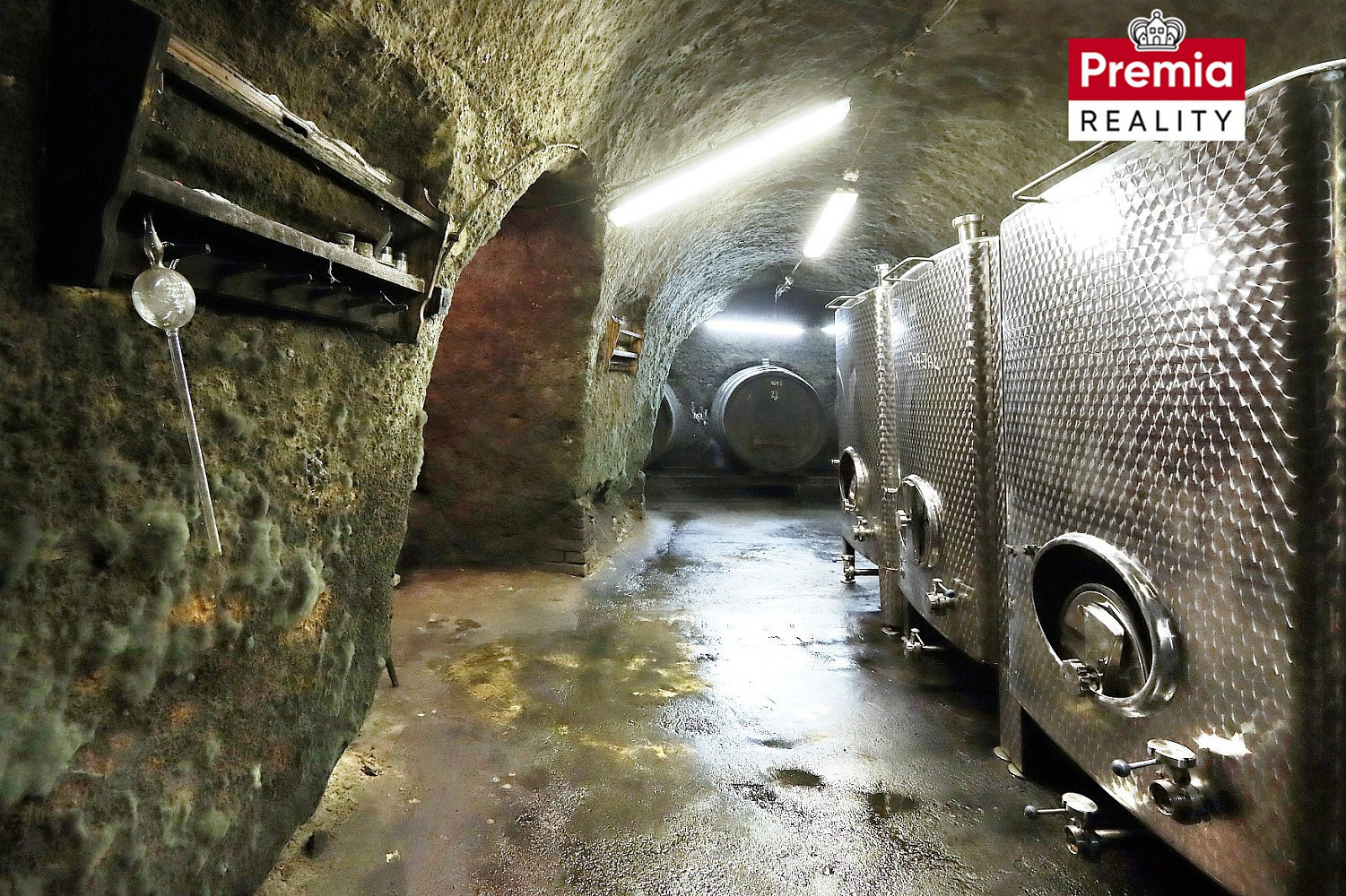 Vinařský areál modrý sklep na prodej — photo 5
