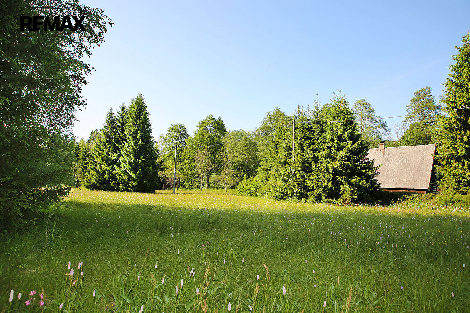 Prodej chaty/chalupy 100 m² s pozemkem 769 m² – fotografie 4