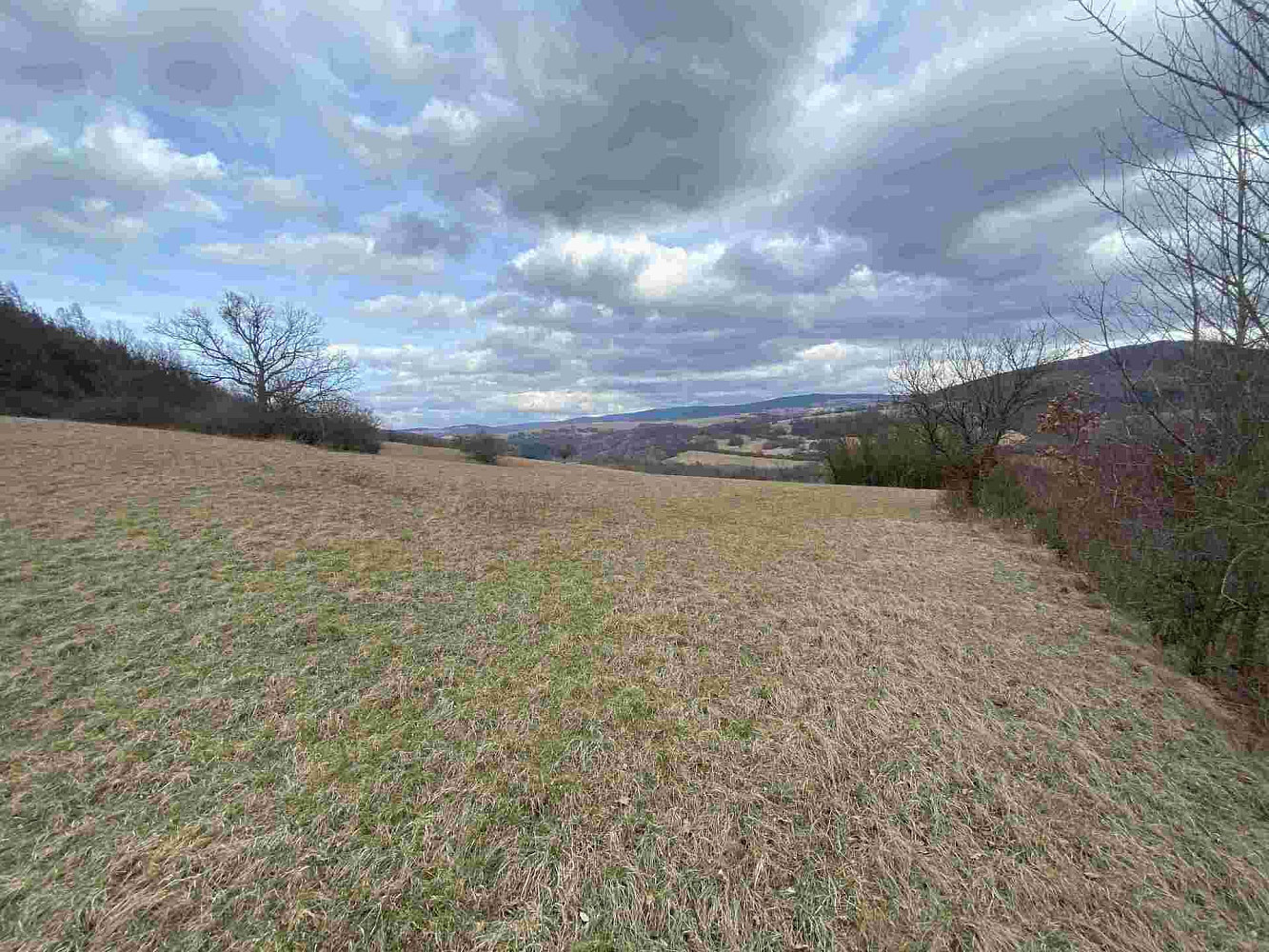 Prodej pole 1 556 m² – fotografie 5