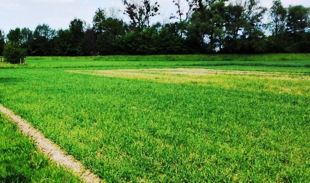 Prodej komerčního pozemku 6 000 m², Mohelnice – náhled fotky 4
