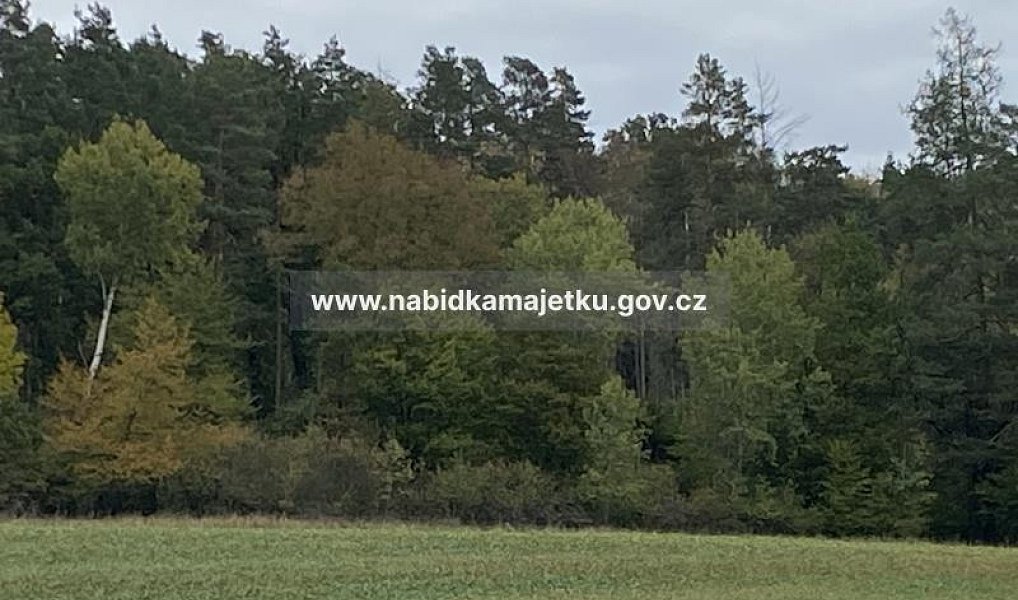 Prodej lesa, 109 m², Šumperk, Dolní Studénky