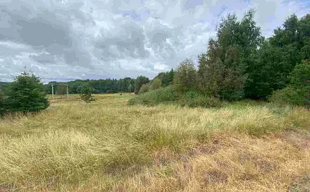 Prodej pozemku 2 675 m², Aš, okres Cheb