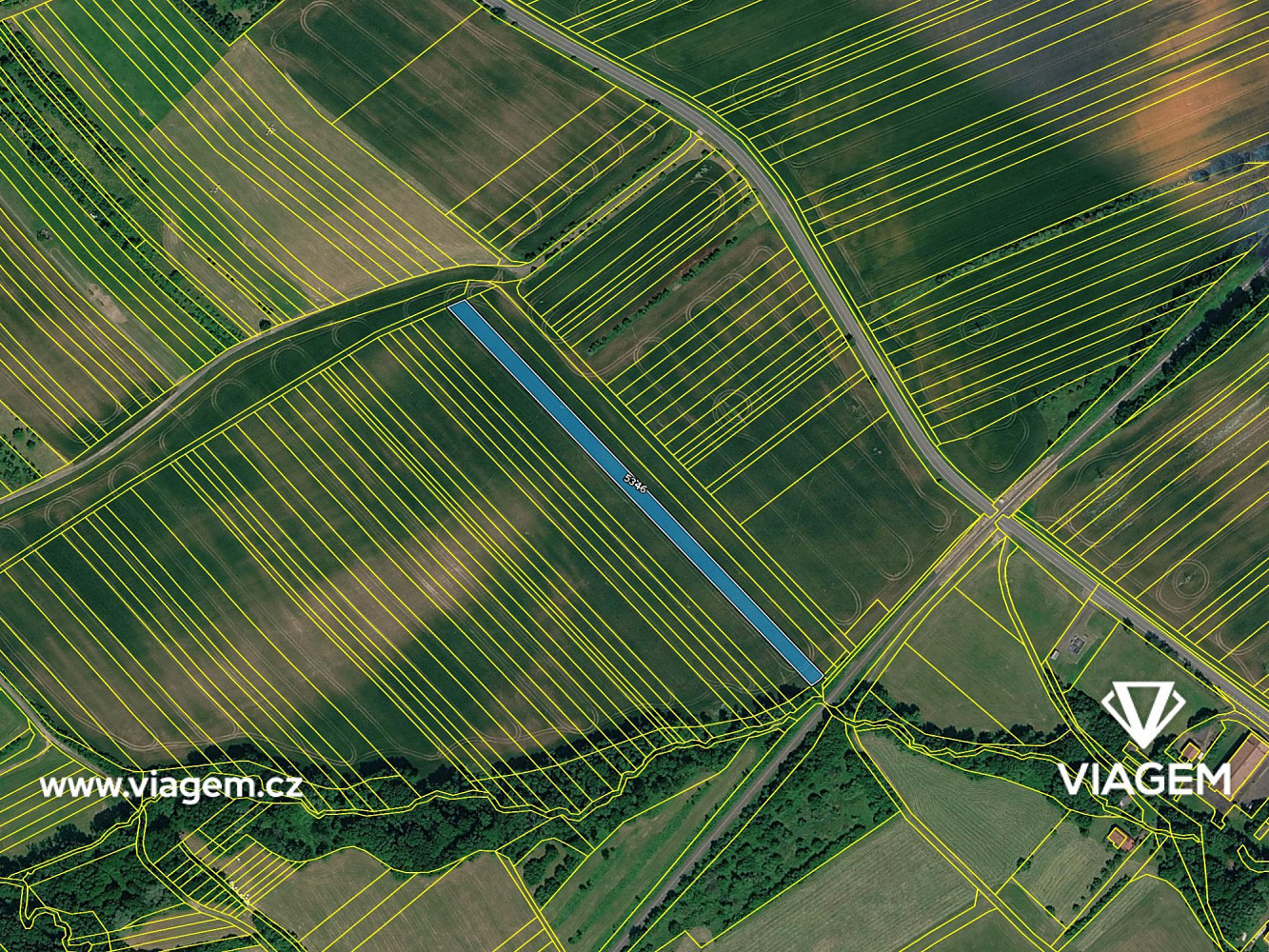 Prodej pole 3 775 m² – fotografie 4