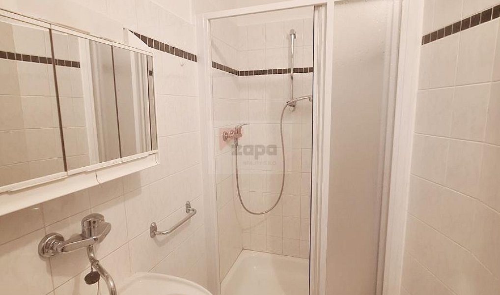 Pronájem bytu 1+1 49 m², Praha – náhled fotky 8