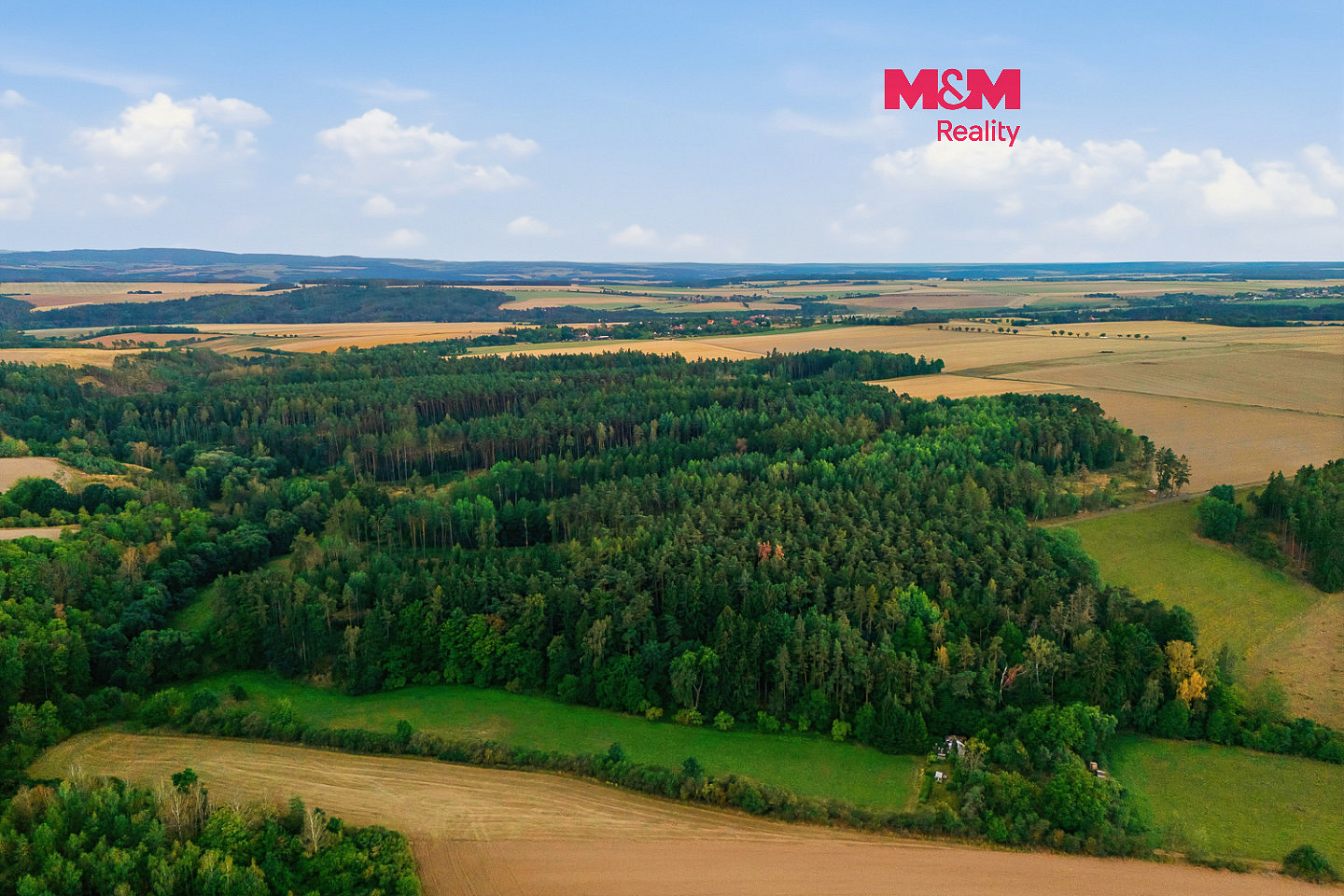 Prodej lesa 3 520 m²