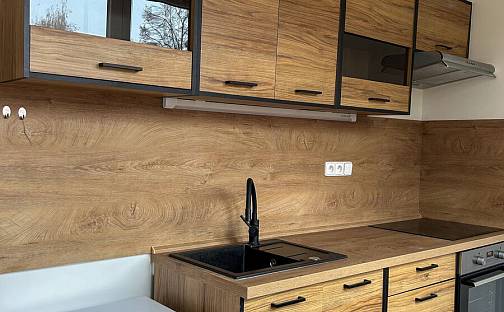 Pronájem bytu 1+1 36 m², Výškovická, Ostrava - Zábřeh