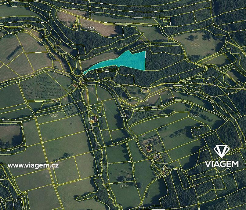 Prodej lesa 2 332 m² – fotografie 2