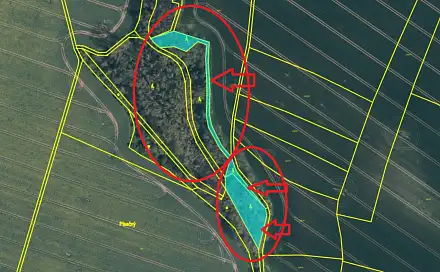 Prodej lesa 2 736 m², Mělnické Vtelno - Drnovice
