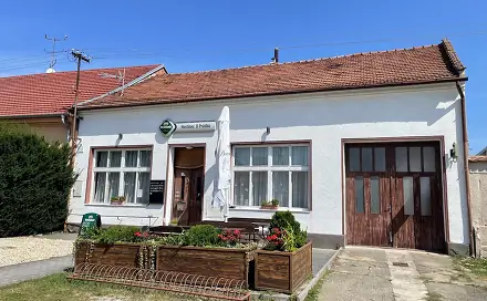 Prodej domu 400 m² s pozemkem 1 063 m², Dolní, Rakvice, okres Břeclav